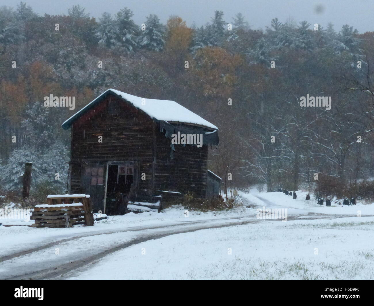 Scheune im winter Stockfoto