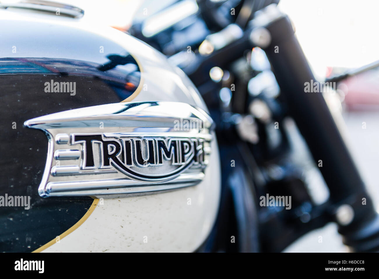 Der Triumph-Logo-Emblem auf dem Triumph-Motorrad. Stockfoto