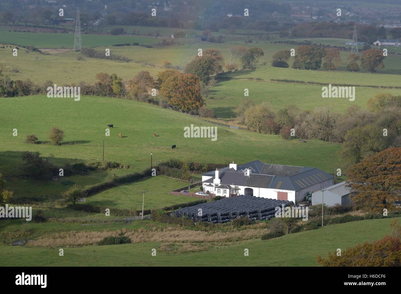 Landschaftsblick über Glanderston Mains Farm and Fields, Newton Mearns, East Renfrewshire, Glasgow, Schottland, Großbritannien Stockfoto