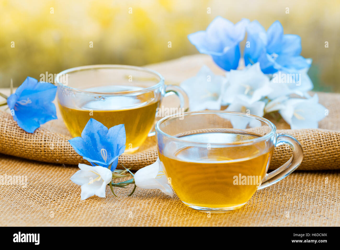 Zwei Tassen Kräuter Tee am Grunge Holztisch, dekoriert mit Glockenblume Blumen im Garten Stockfoto