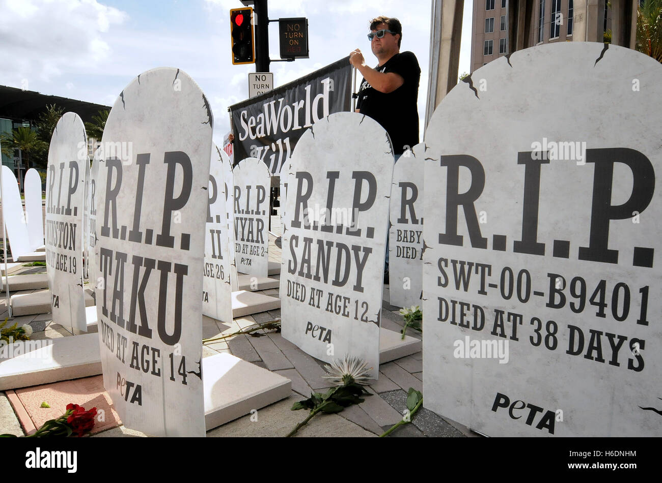 Orlando, Vereinigte Staaten von Amerika. 27. Oktober 2016. 27. Oktober 2016.  Aktivisten von Personen für die ethische Behandlung der Tiere (PETA) inszenieren Protest gegen SeaWorld vor dem Rathaus in Orlando, Florida am 27. Oktober 2016. Blumen wurden bei 38 Grabsteine, jeder Orca in SeaWorlds Pflege während des früh verstorbenen darstellt. PETA fordert SeaWorld in den Ruhestand ihre restlichen Orcas zu Meer Heiligtümern mehr vorzeitige Todesfälle zu verhindern. Bildnachweis: Paul Hennessy/Alamy Live-Nachrichten Stockfoto