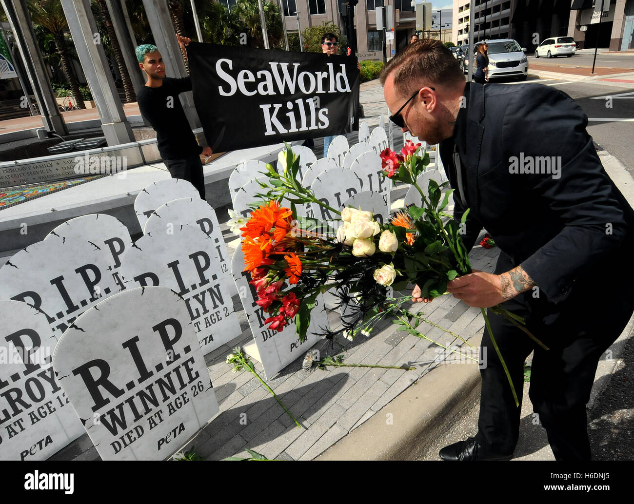 Orlando, Vereinigte Staaten von Amerika. 27. Oktober 2016. 27. Oktober 2016.  Aktivisten von Personen für die ethische Behandlung der Tiere (PETA) inszenieren Protest gegen SeaWorld vor dem Rathaus in Orlando, Florida am 27. Oktober 2016. Blumen wurden bei 38 Grabsteine, jeder Orca in SeaWorlds Pflege während des früh verstorbenen darstellt. PETA fordert SeaWorld in den Ruhestand ihre restlichen Orcas zu Meer Heiligtümern mehr vorzeitige Todesfälle zu verhindern. Bildnachweis: Paul Hennessy/Alamy Live-Nachrichten Stockfoto