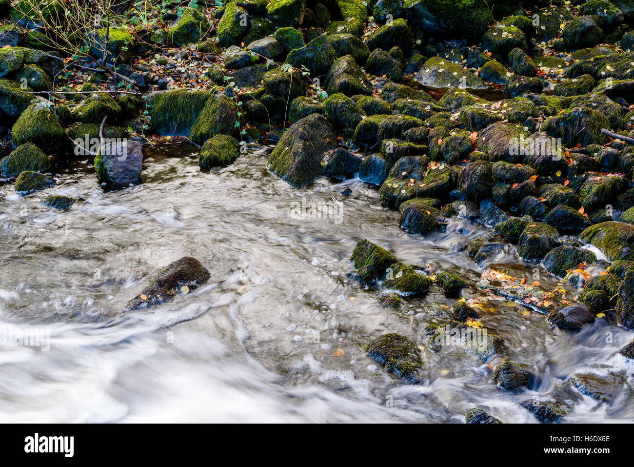 Moos bedeckt Steinen oder Felsbrocken am seichten Ufer im Herbst. Stockfoto