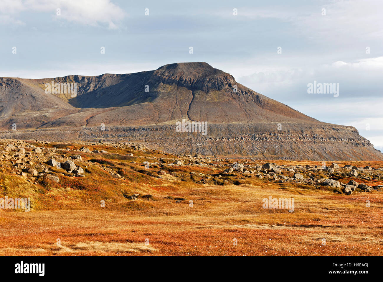 Geysirofa Vulkan, Nordosten Islands, Nordatlantik, Europa Stockfoto