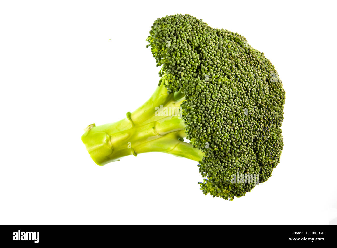 Frisch geschnittene Kopf Brokkoli isoliert auf weißem Hintergrund Stockfoto