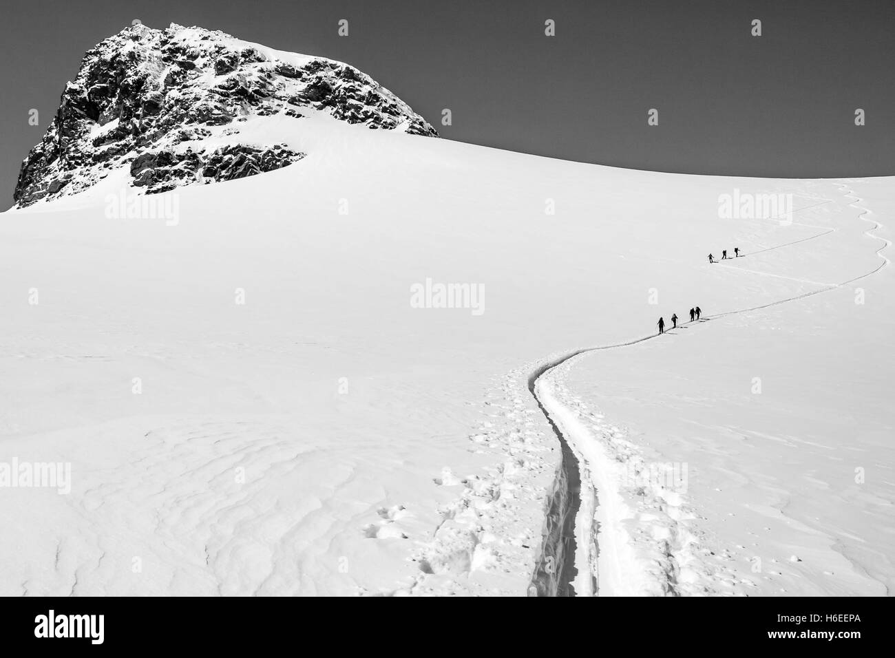 Eine Loipe führt weiter oben auf einem felsigen Berg an einem sonnigen Tag. Eine Gruppe von Skifahrern Hinterland steigt. Stockfoto
