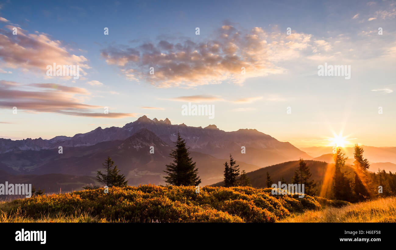 Sonnenaufgang hinter Berg Palette von Dachstein. Das erste Licht trifft die Heidelbeere Büsche im Vordergrund Stockfoto