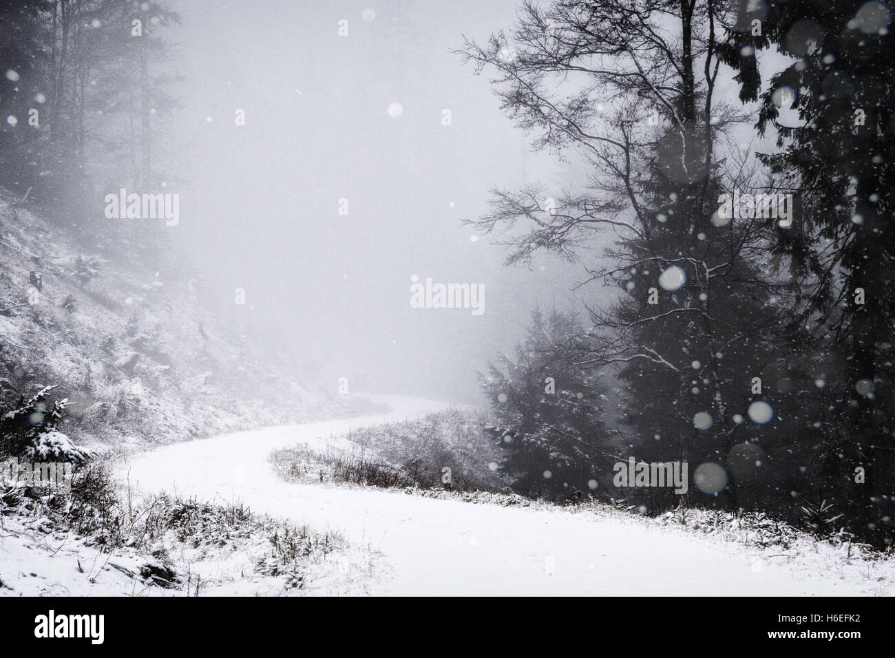 Schnee fällt auf eine kleine Bergstraße durch den Wald. Stockfoto