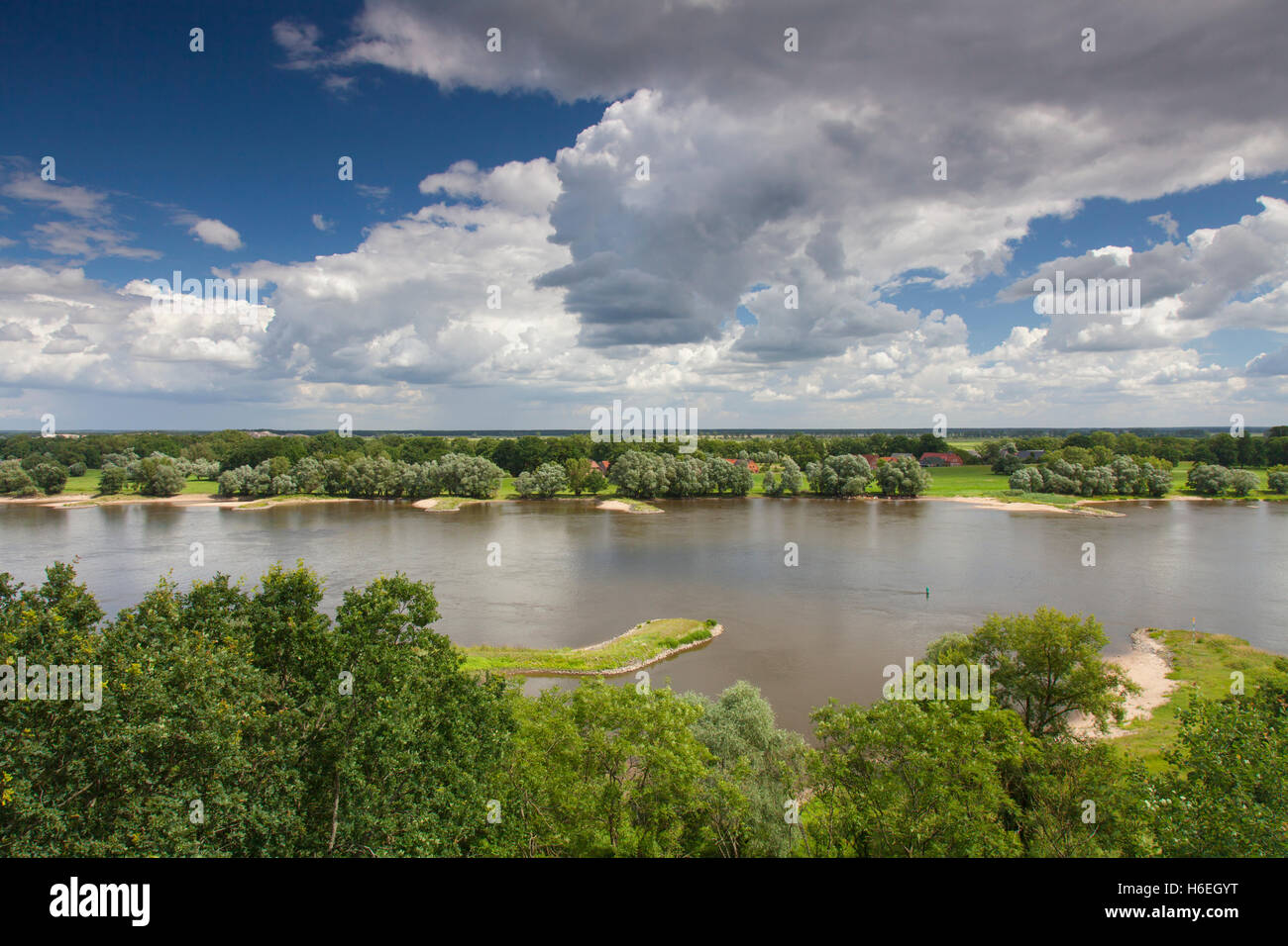 Elbe-Flusslandschaft UNESCO-Biosphären-Reservat im Sommer, Niedersachsen, Deutschland Stockfoto