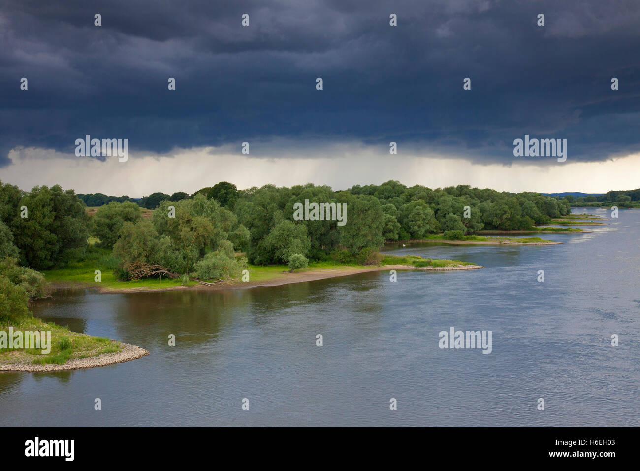 Gewitter über der Elbe-Flusslandschaft UNESCO-Biosphären-Reservat im Sommer, Niedersachsen, Deutschland Stockfoto