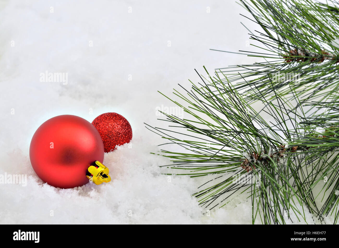 zwei rote Christbaumkugeln mit Tanne Zweige auf Schnee Hintergrund, Makro, Nähe, Raum für Text, horizontal, full-Frame Stockfoto