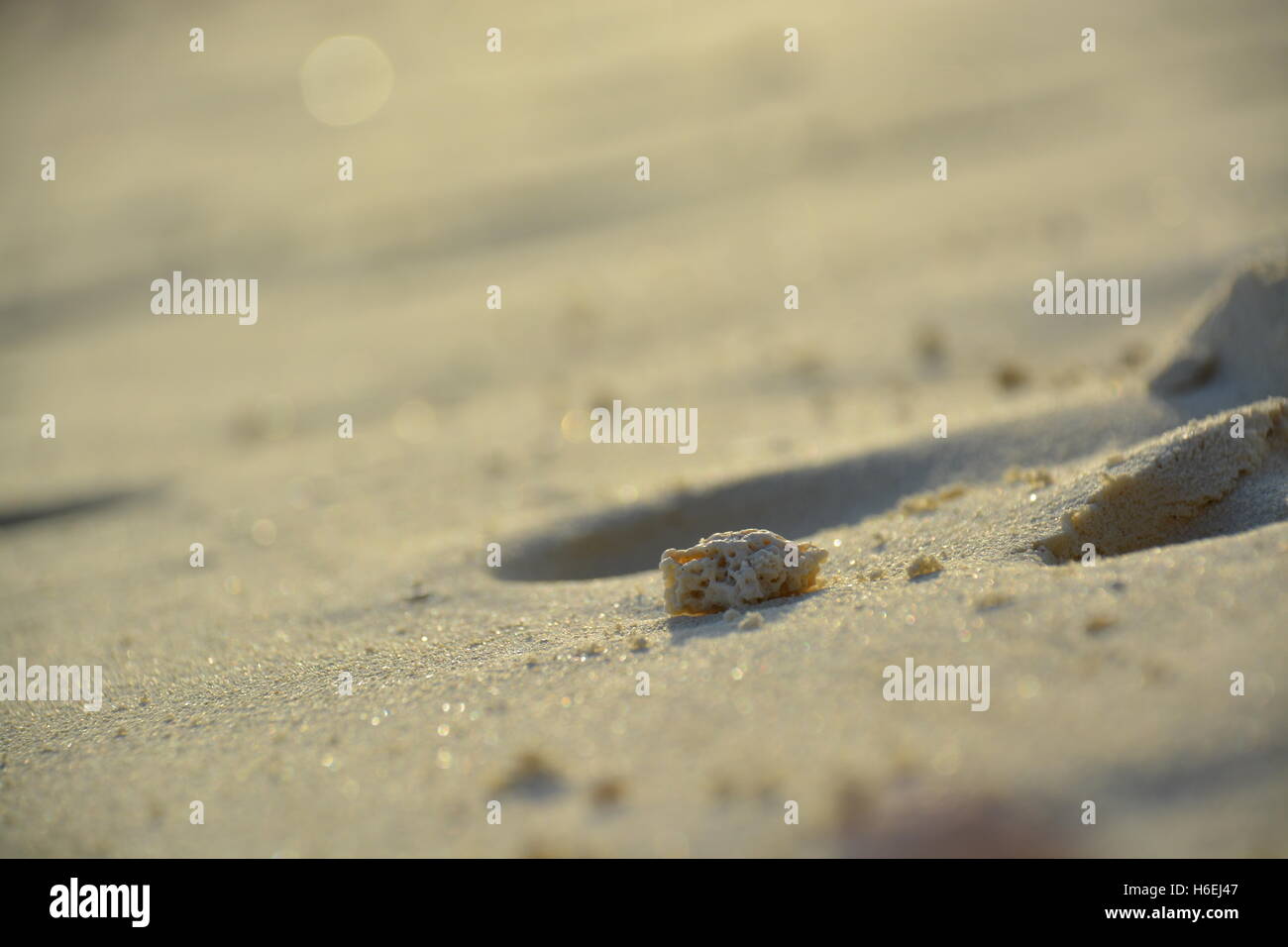 Sand Rock-Bilanz Stockfoto