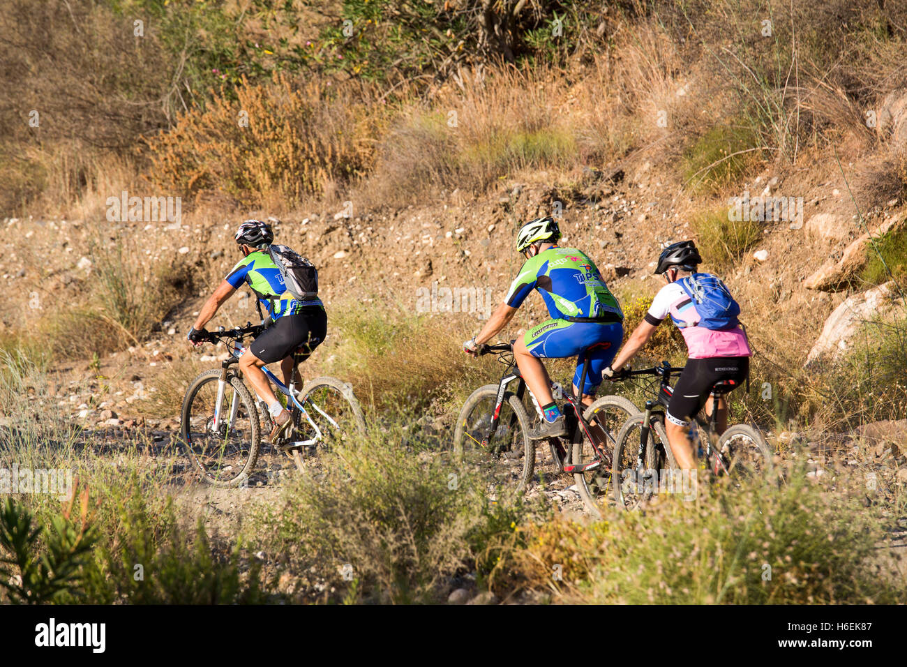 Mountainbiker auf Trails. Mijas. Costa Del Sol, Provinz Malaga. Andalusien Spanien. Europa Stockfoto