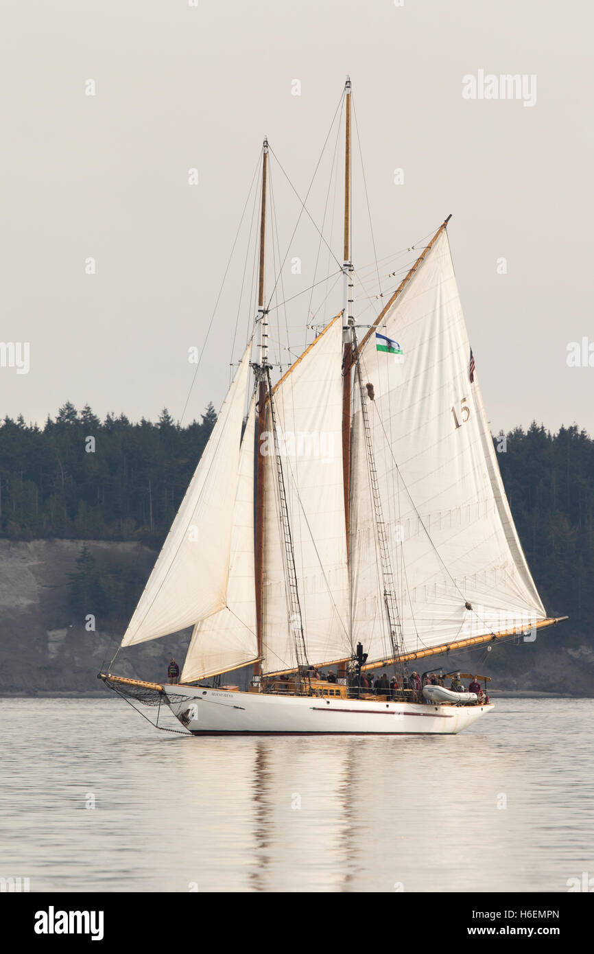 Segelboot, Segelboot Schoner aus Holz Yacht Port Townsend Bucht, Puget Sound, Washington. Stockfoto