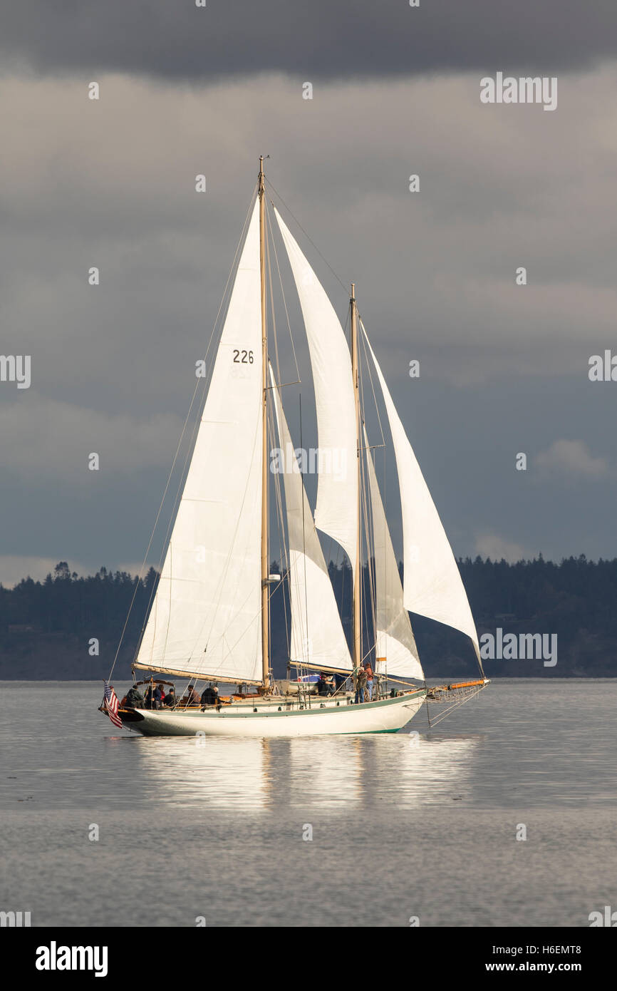 Segelboot, Segelboot Schoner aus Holz Yacht Port Townsend Bucht, Puget Sound, Washington. Stockfoto