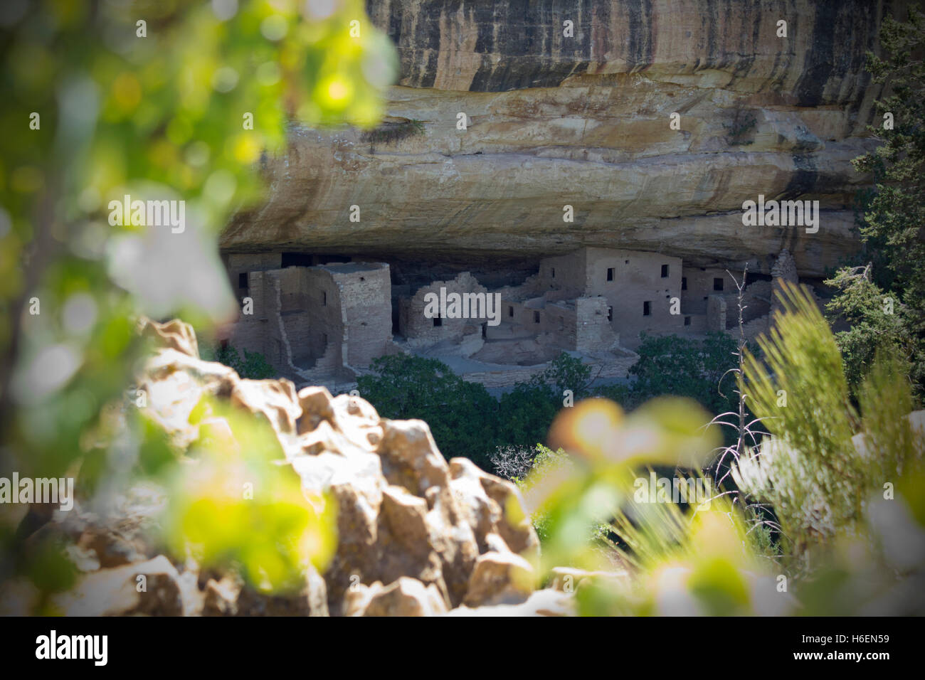 Mesa Verde Cliff Dwellings Stockfoto