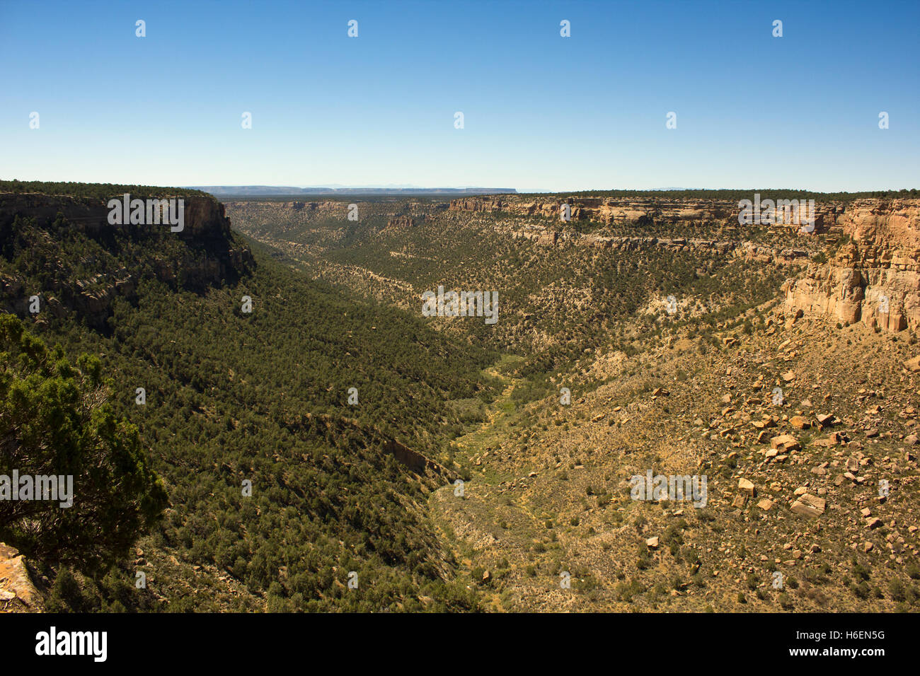 Colorado Canyon Colorado Mountain Stockfoto