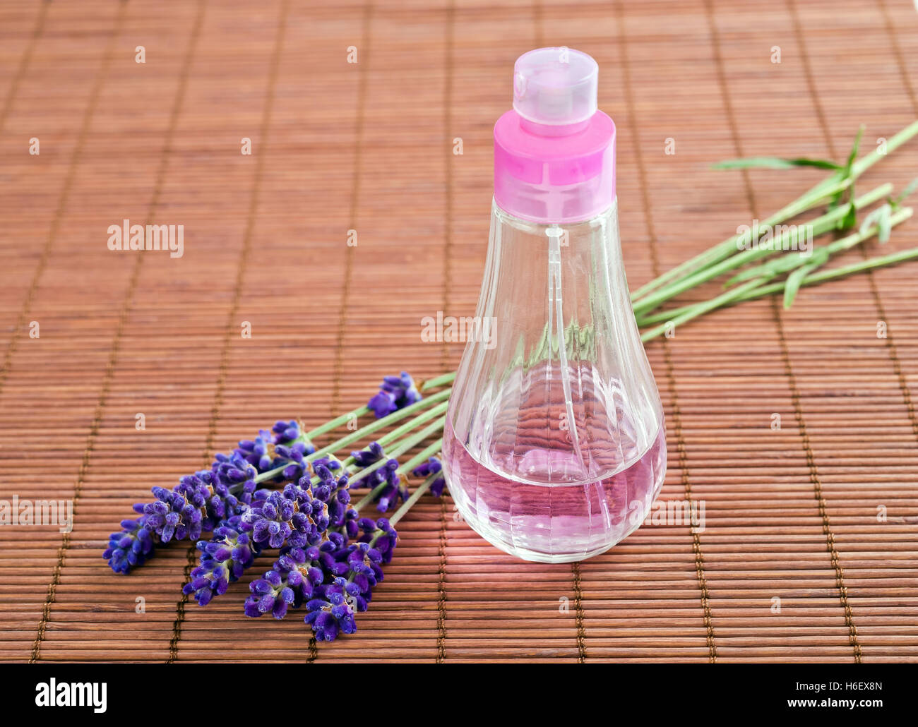 Lavendel Blume mit Dispenser auf Holz Stockfoto