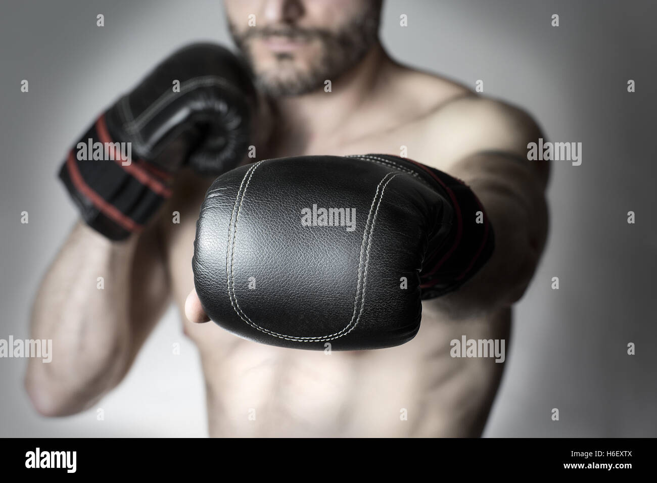 Nahaufnahme des Boxer-Handschuh Stockfoto