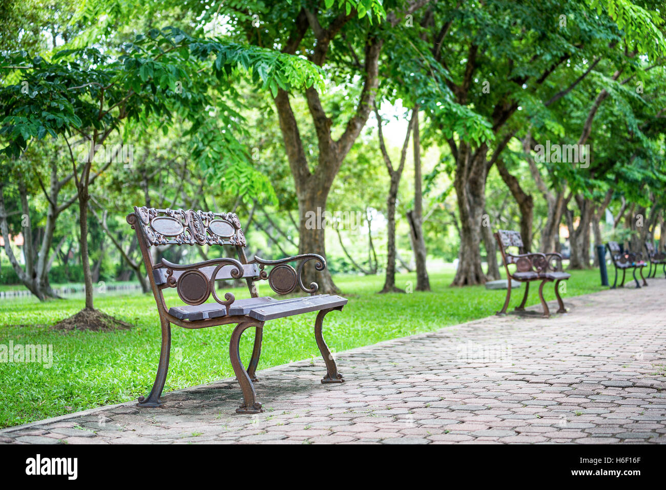 Vintage braun Eisen Sitz auf Fußweg in öffentliche Grünanlage mit grünen Bäumen entlang des Weges hinter jeden Sitz im Mittelpunkt. Stockfoto