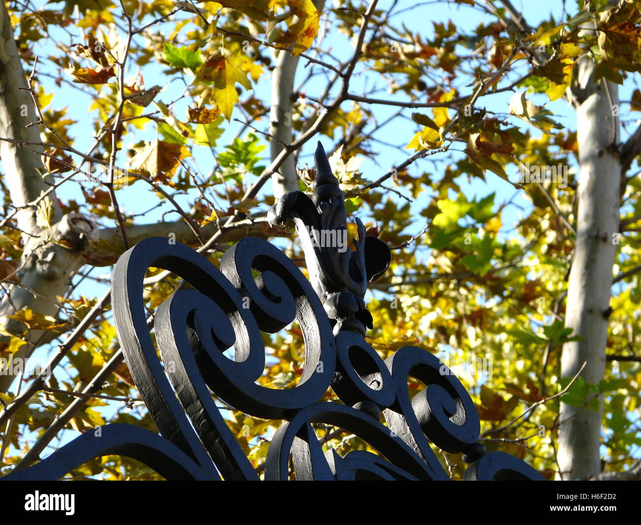 Paris im Herbst. Blätter im Herbst und Bügeleisen Einrichtung in Pariser Straße. Frankreich Jahreszeiten Stockfoto