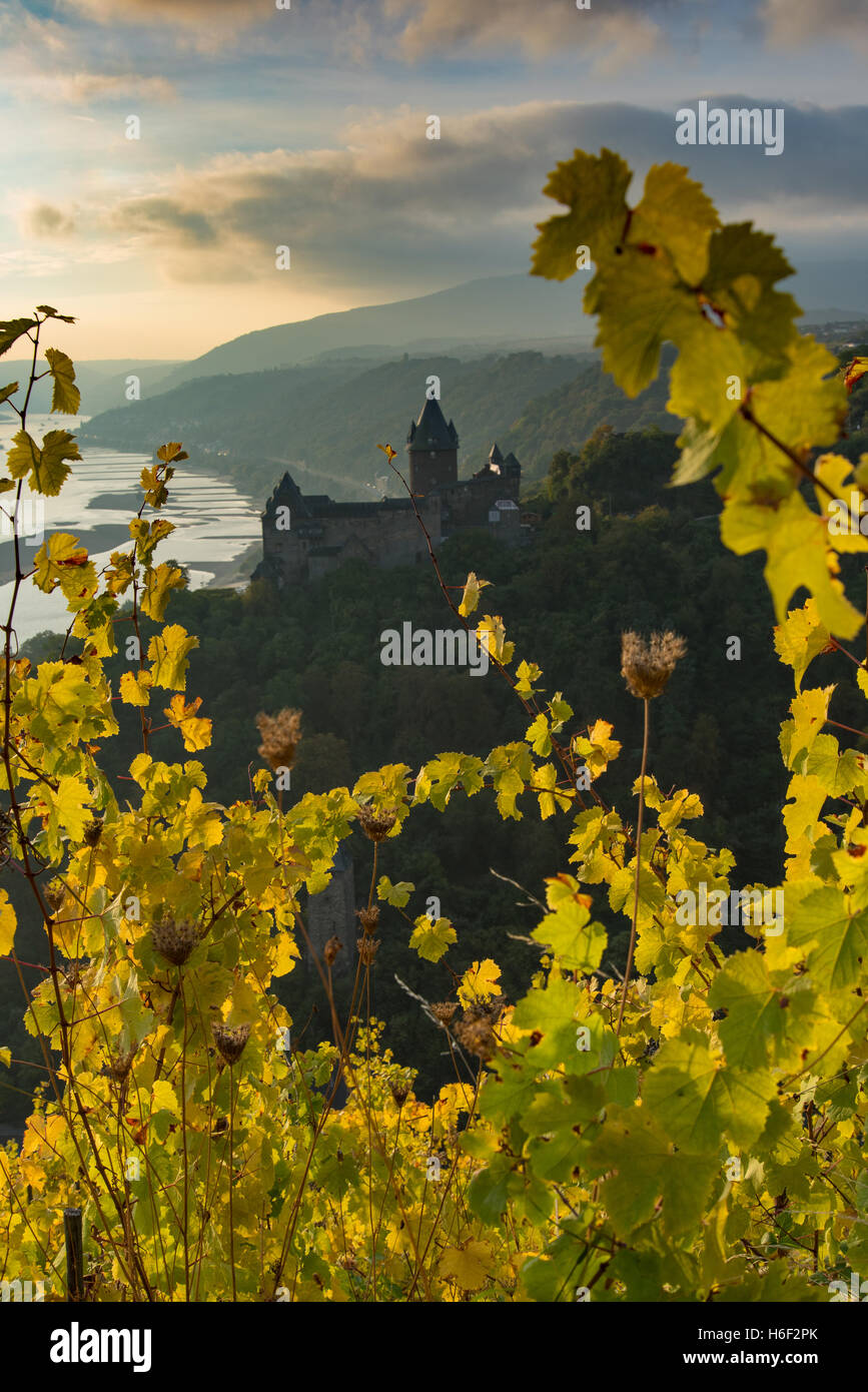 Rheintal im Herbst in Bacharach Stockfoto