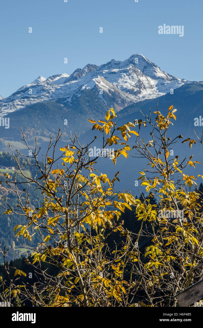 Das Zillertal ("Zillertal") entwässert ein Tal in Tirol in Österreich vom Fluss Ziller das breiteste Tal südlich von Inntal am meisten von Touristen besuchten Stockfoto