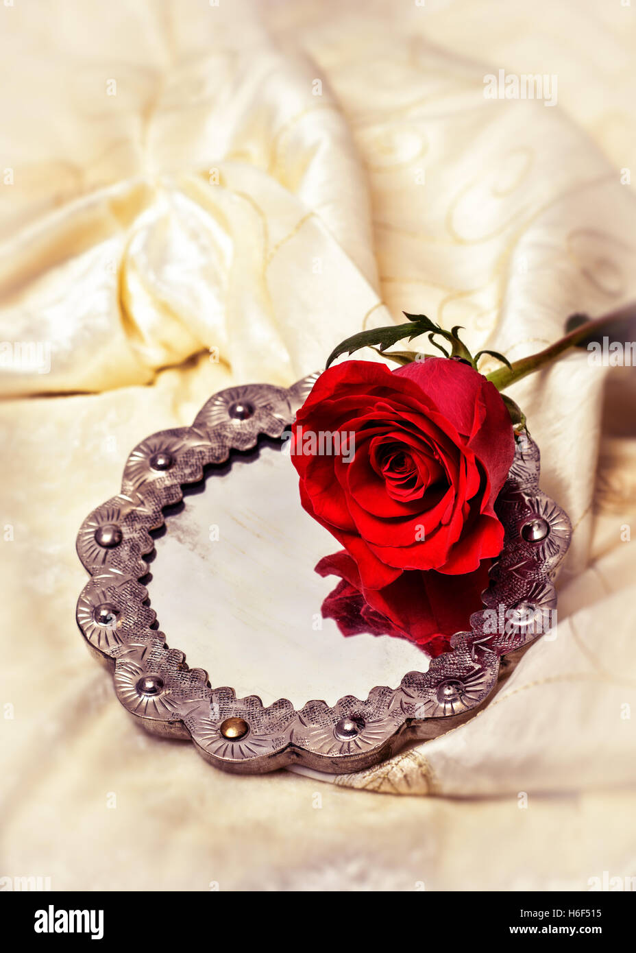 Einzelne rote Rose auf antike Spiegel Stockfoto