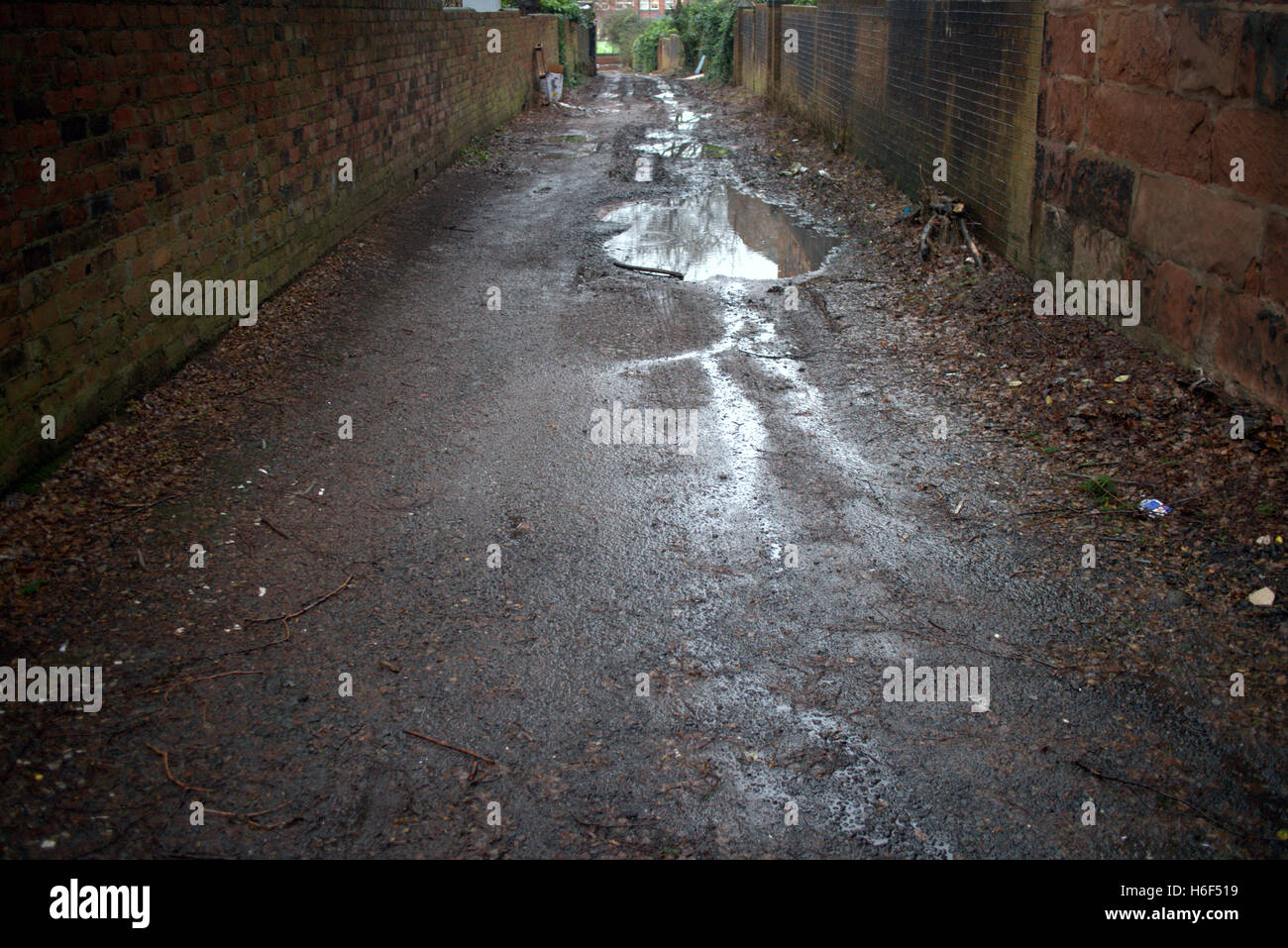 Schmutzige nass Regen durchnässt Glasgow zurück Gericht Gasse Stockfoto