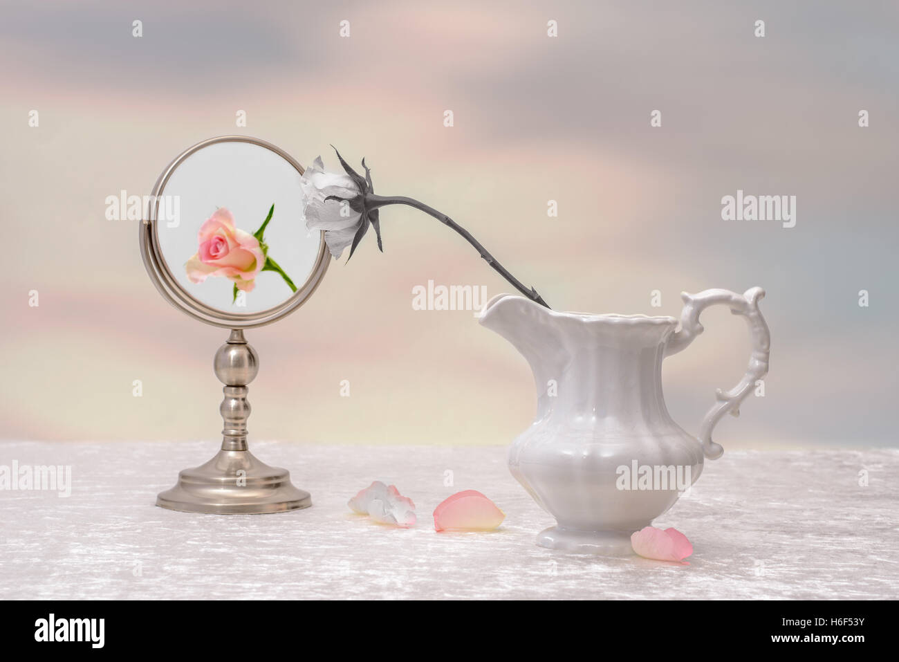 Konzept der Eitelkeit mit verblasste rose und frische rose Reflexion Stockfoto