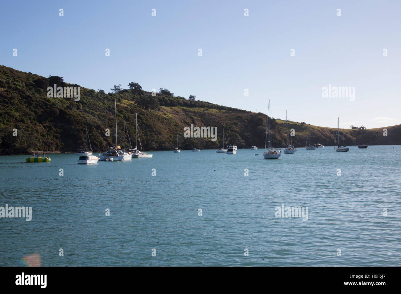 Segelboote angedockt off Shore Waiheke Island in der Nähe von Auckland, Neuseeland. Stockfoto