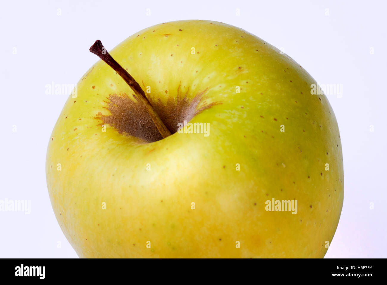 Golden Delicious Apple.Pedúnculo Stockfoto