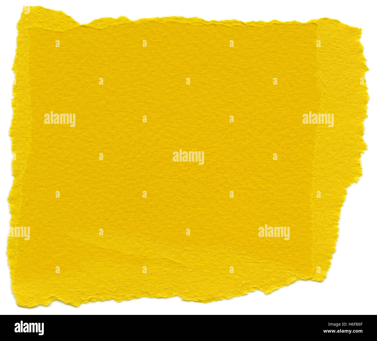 Textur des selektiven gelbe Faserpapier mit zerrissenen Kanten. Isoliert auf weißem Hintergrund. Scannen mit 2400dpi mit einer professionellen s Stockfoto