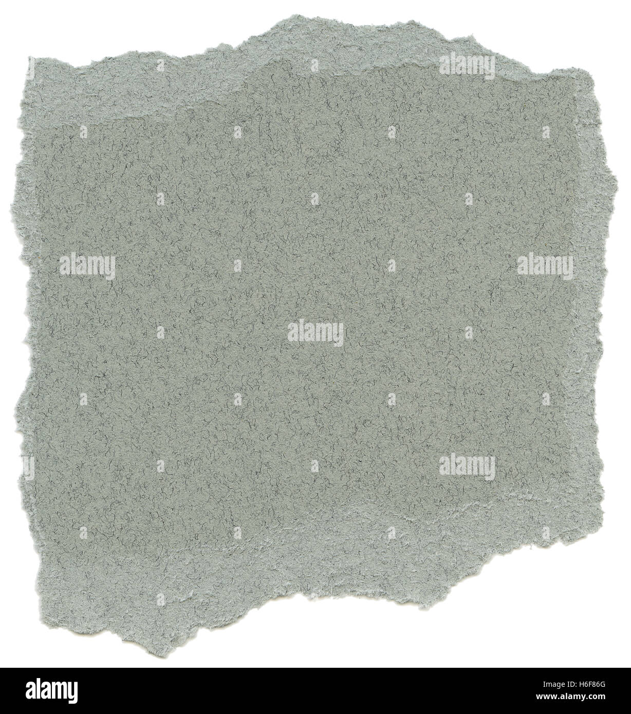 Textur des grünlich grau Faserpapier mit zerrissenen Kanten. Isoliert auf weißem Hintergrund. Bei 1200dpi mit einer professionellen Scan gescannt Stockfoto