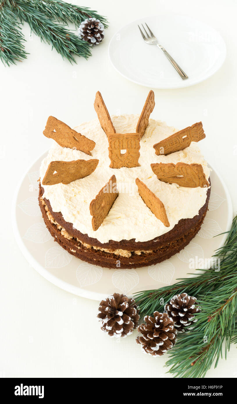 Ganzen Lebkuchen Kuchen (Spekulatius-Torte) und Zweige von Tanne Stockfoto