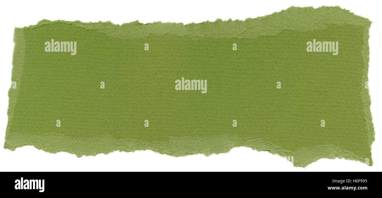 Textur des islamischen grünen Faserpapier mit zerrissenen Kanten. Isoliert auf weißem Hintergrund. Mit 1600dpi mit einer professionellen Scan abgetastet Stockfoto