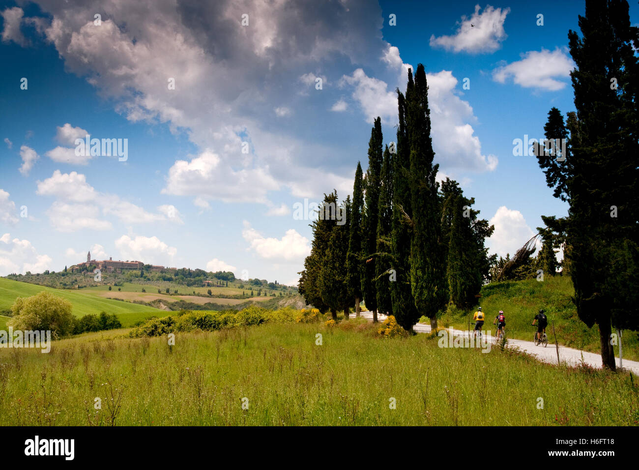 Val d ' Orcia, Siena, Mountain Bike Ausflug in die toskanischen Hügel - Gemeindestraße San Regolo bei Podere Casa al Piano, auf staatlich Stockfoto