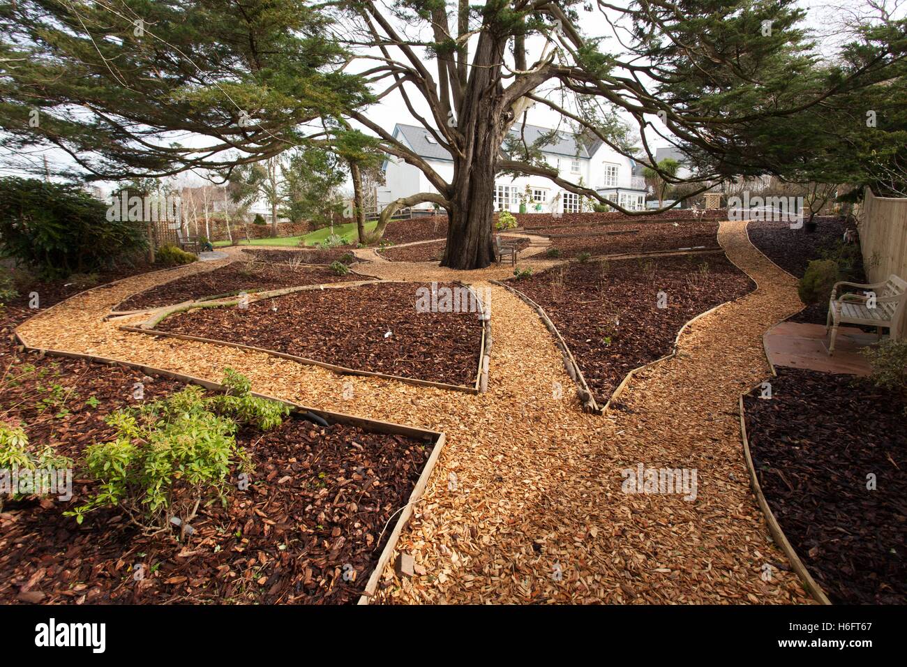 Holzschnitzel als Gartenwege, hölzernen Einfassung und Rinde Splitt als Mulch auf den Grenzen mit Gartenbank Stockfoto