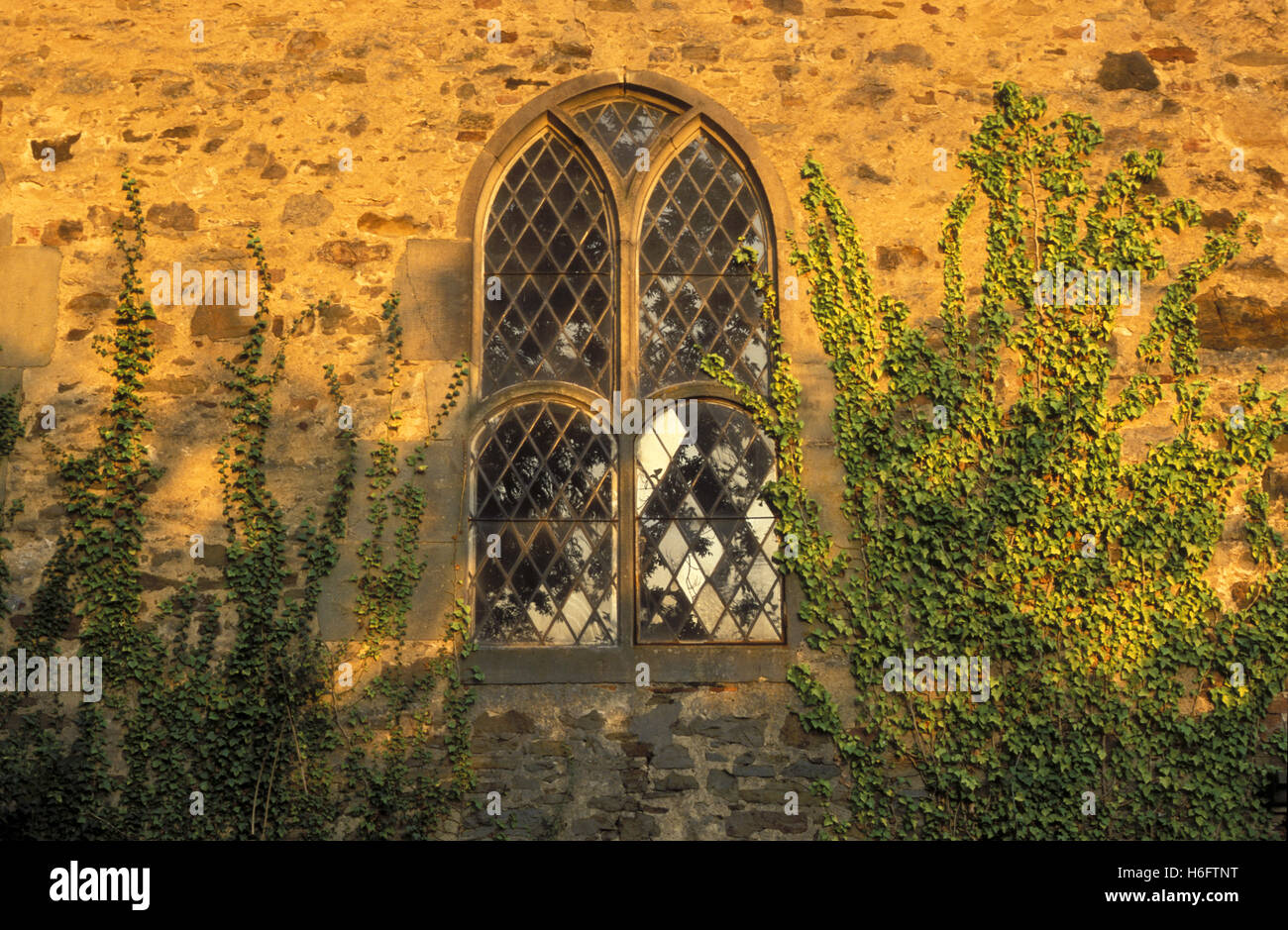 Deutschland, Niedersachsen, Fenster des Klosters Moellenbeck in der Nähe von Rinteln. Stockfoto