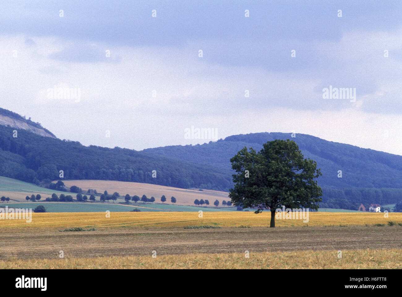 Deutschland, Niedersachsen, Landschaft in der Nähe von Ritterguts. Stockfoto
