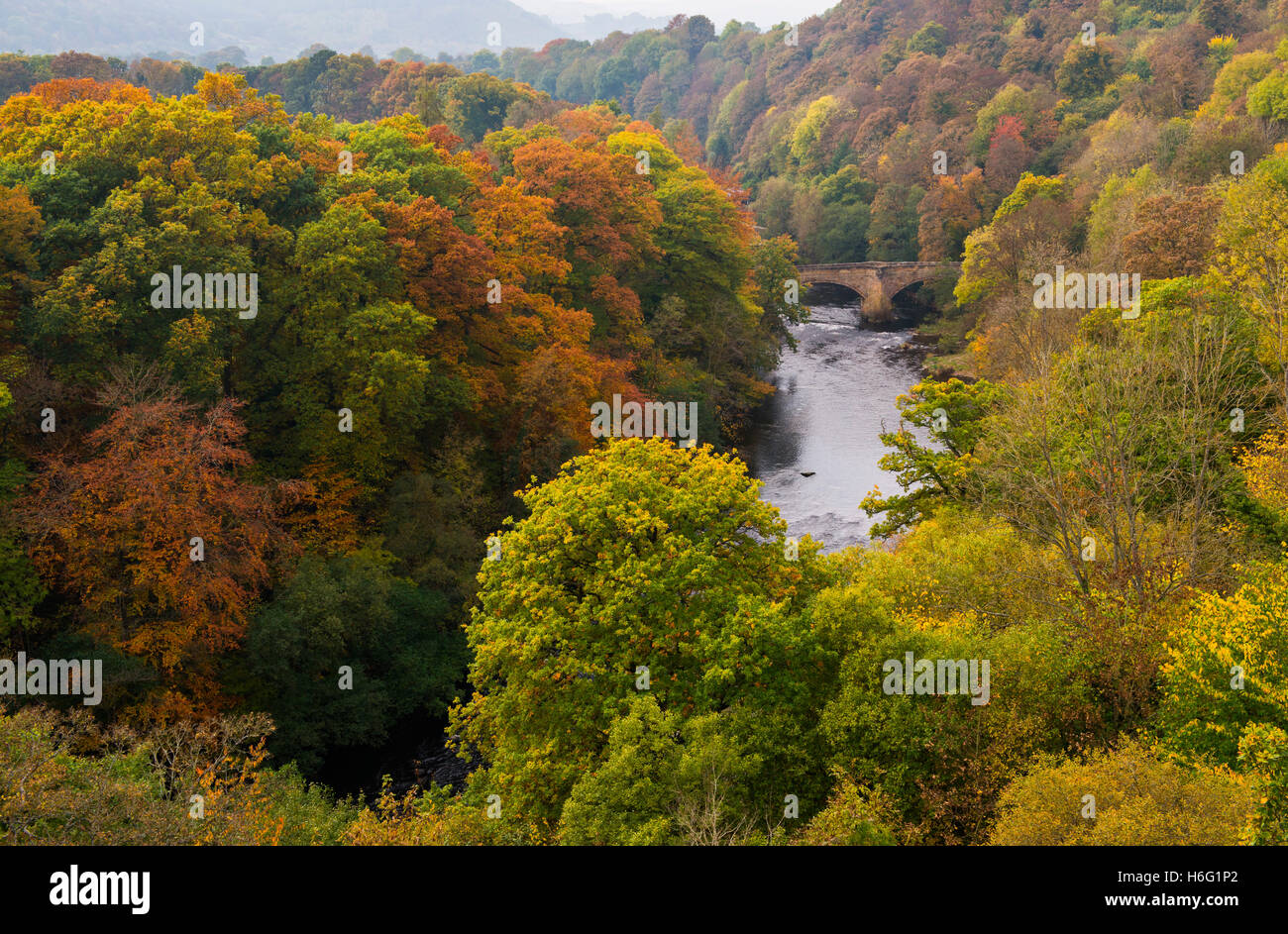 Den Fluss Dee schlängelt sich durch den herbstlichen Wald von Pontcysyllte Aquädukt, Wales gesehen. Stockfoto