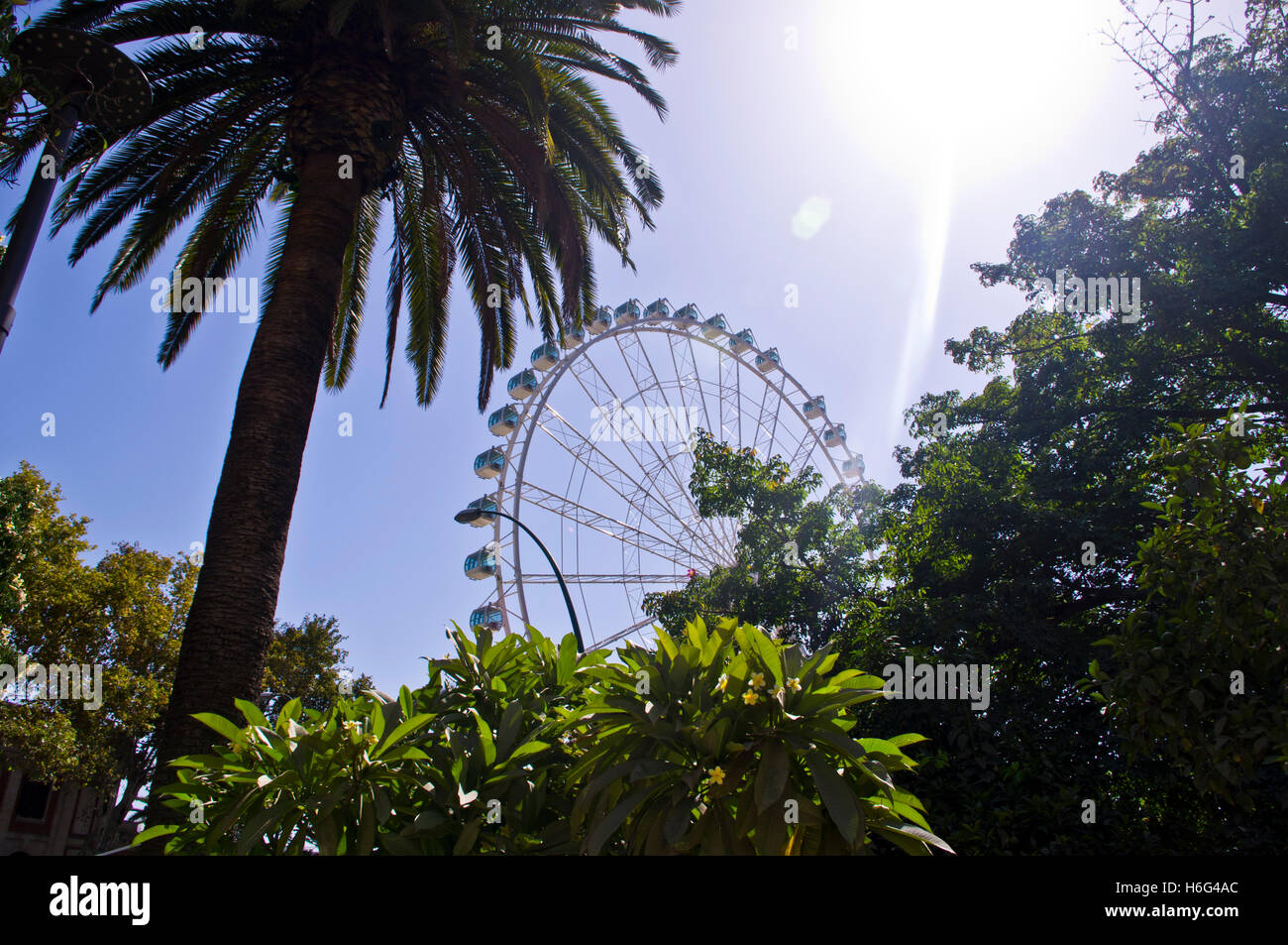 Das Riesenrad an der Küste von Malaga Stockfoto