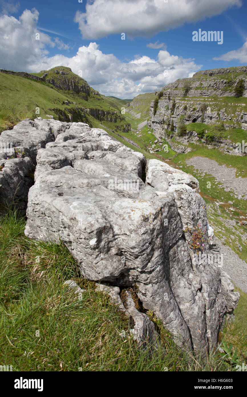 Gordale Beck und Kalkstein Schlucht oberhalb Gordale Narbe, Malham, Malhamdale, Yorkshire Dales, UK Stockfoto