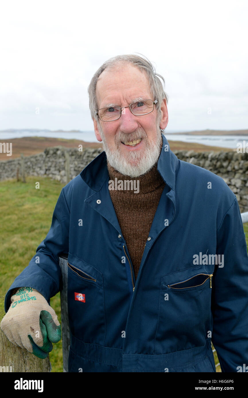 Peter Glanville mit seiner Herde von Shetland-Schafe, die organische Shetland Wolle in Naturfarben zu produzieren. Stockfoto