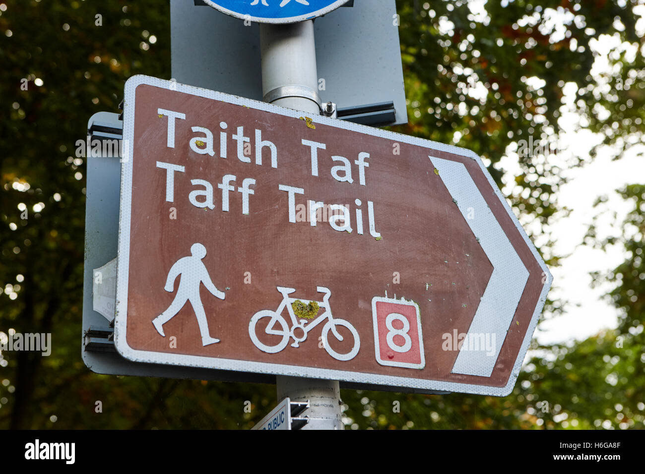 zweisprachige walisische englische Zeichen für die Taff Trail Wander- und Radwege Route durch Cardiff Wales Großbritannien Stockfoto
