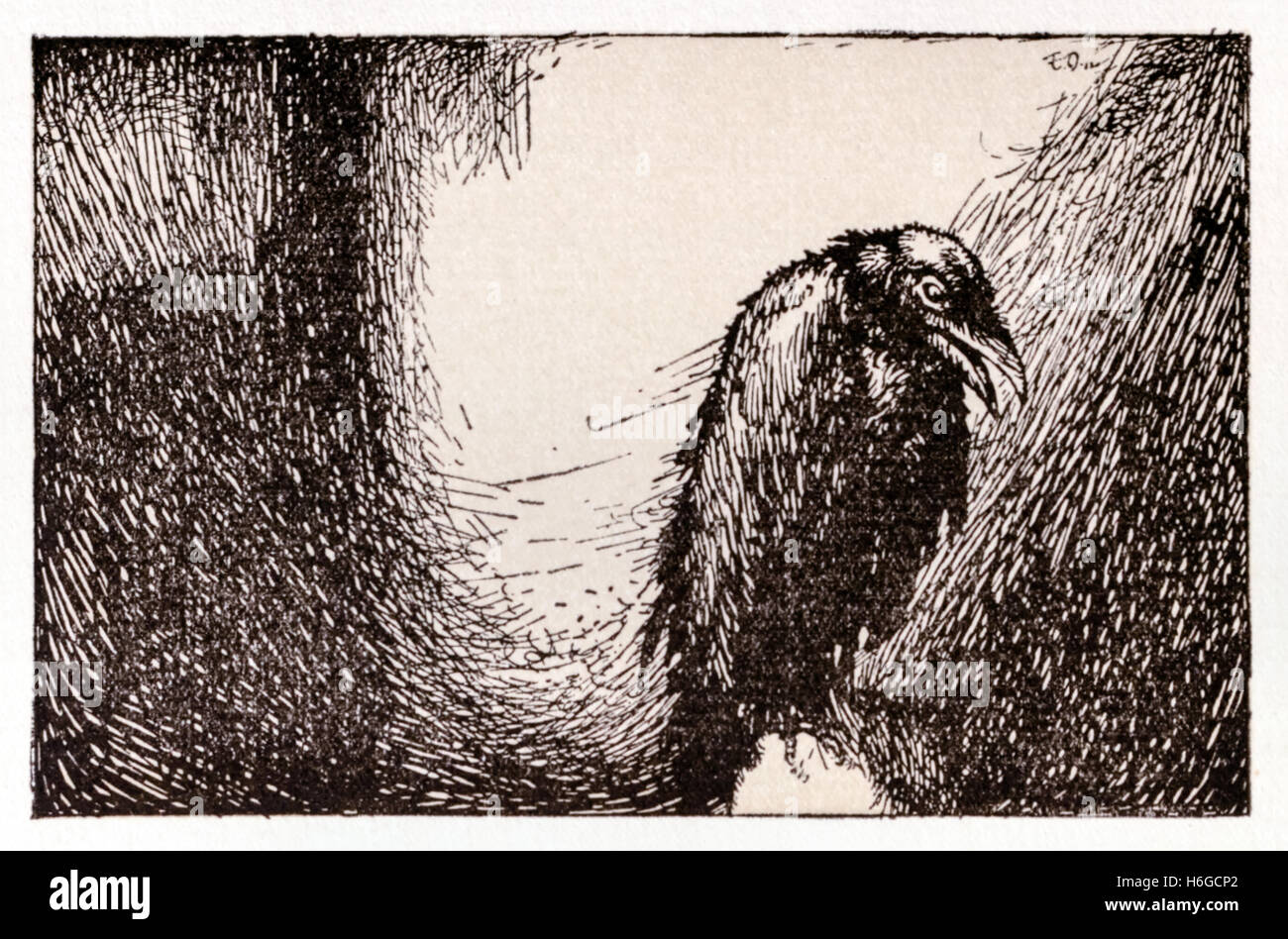 Edgar allan poe gedicht der rabe Fotos und Bildmaterial in hoher Auflösung Alamy