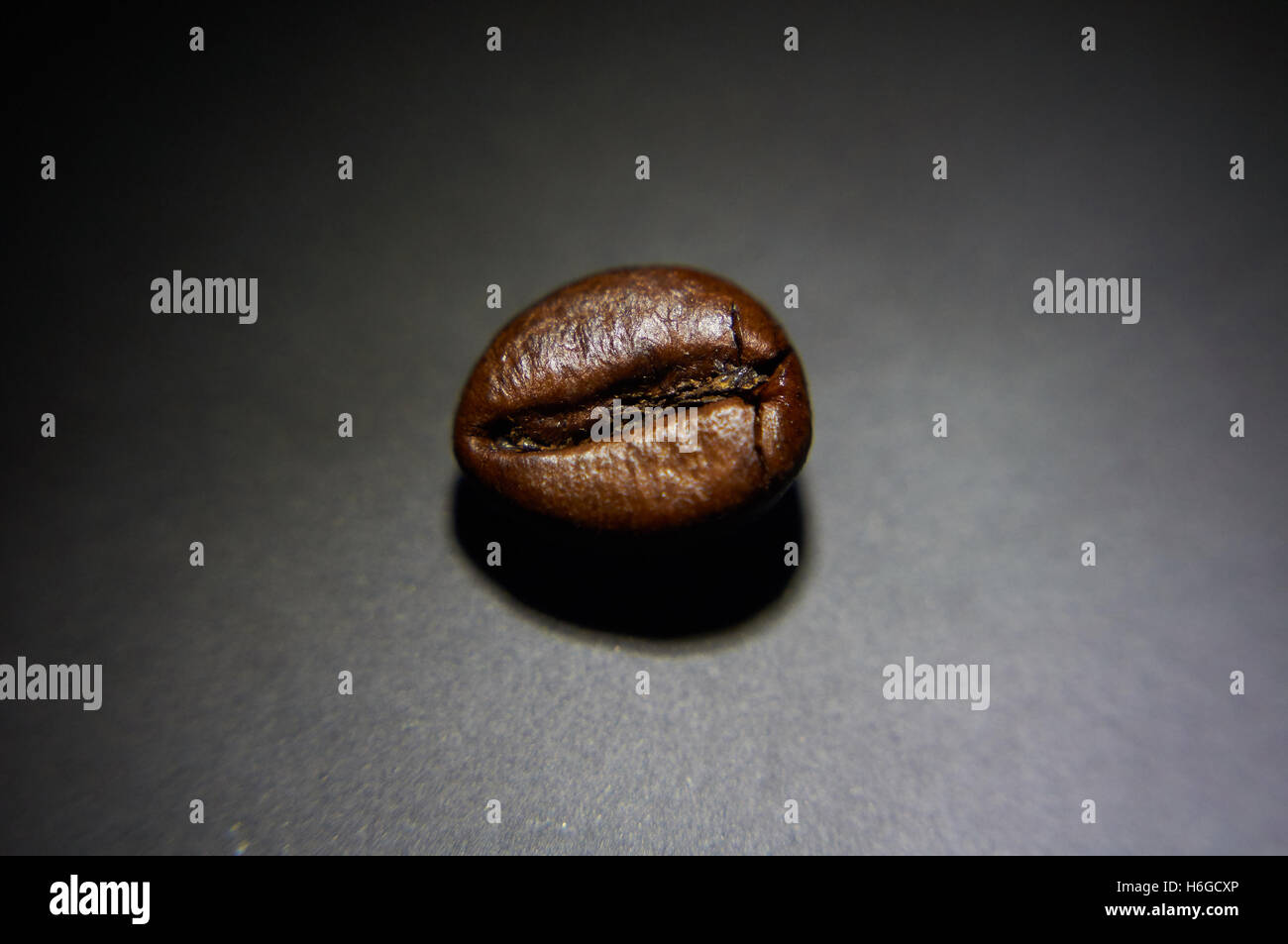 Makrofoto der gerösteten Kaffeebohne im Rampenlicht Stockfoto