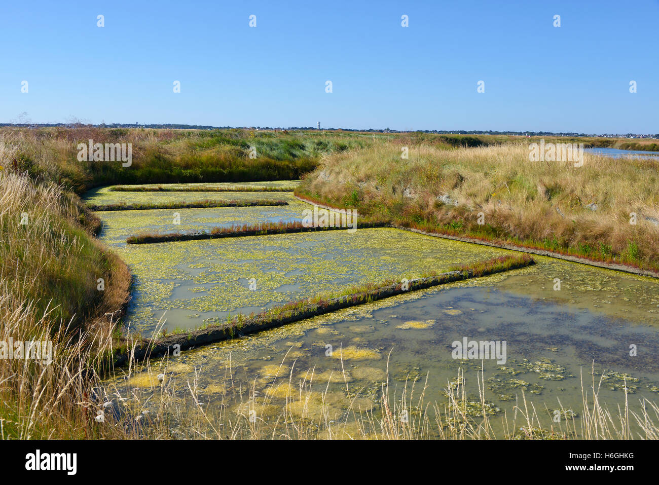 Salz-Sumpf in Le Pouliguen in Frankreich Stockfoto