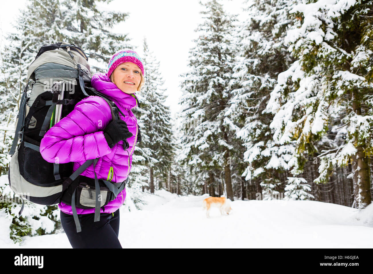 Wandern, trekking im Winterwald mit Akita Hund Frau. Erholung, Fitness und einen gesunden Lebensstil im Freien in schöne verschneite natur Stockfoto