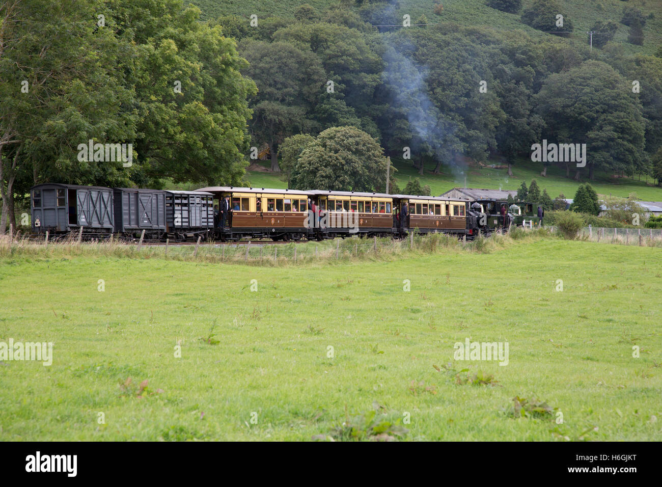 Spezielle Vintage gemischte Doppel leitete Zug bei GolfEin auf der Welshpool and Llanfair Railway, Wales Stockfoto